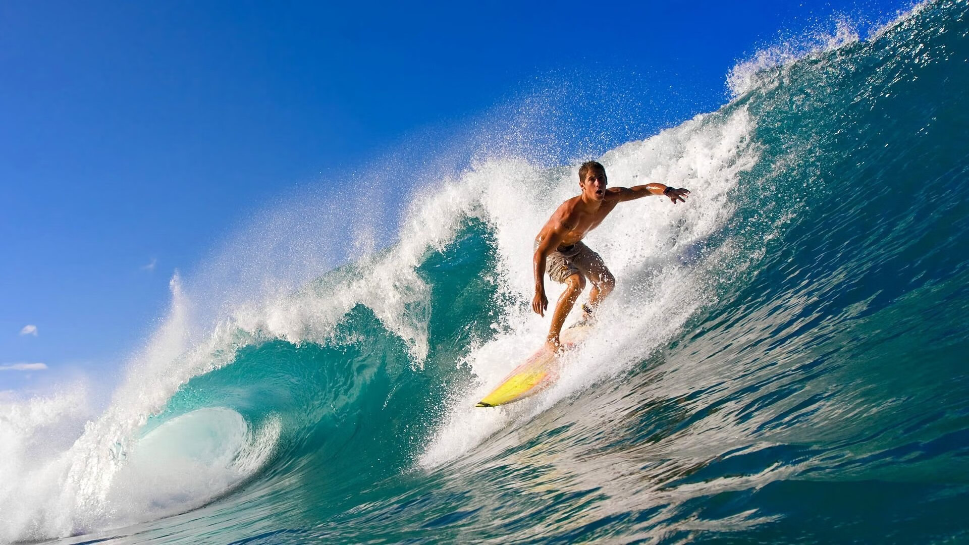 绿茵场上的地缘风暴，2026世界杯焦点战，伊朗如何用掀翻曼城的战术震撼世界